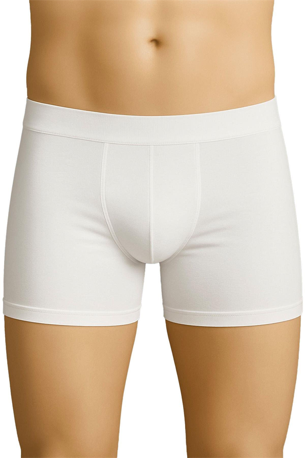 Arias Closet Beyaz MI Emay 6800 Erkek Boxer - Görsel 2