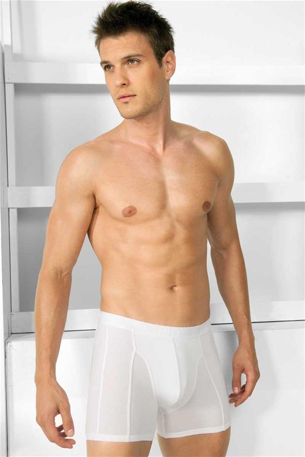 Arias Closet Erkek Modal Klasik Boxer - Görsel 1