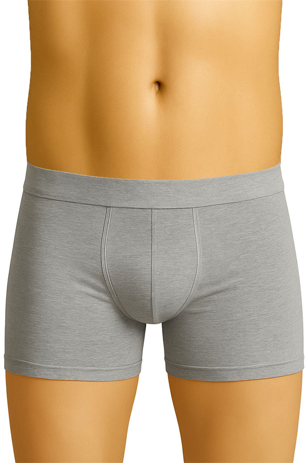 Arias Closet Gri MI Emay 6800 Erkek Boxer - Görsel 1