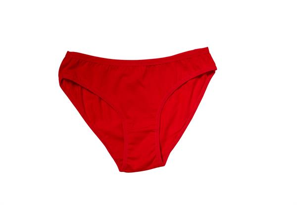 Arias Closet Kırmızı Yılbaşı Desenli Hoo Hoo Hoo Pamuklu Külot - Görsel 2